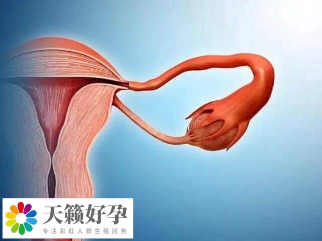 大的卵巢囊腫要先進行治療