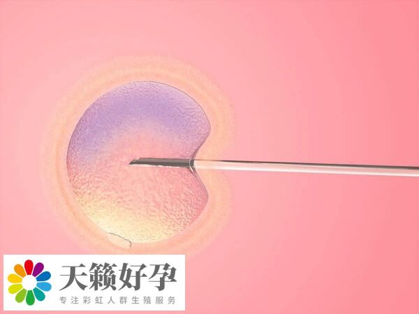 醫(yī)院試管嬰兒成功率
