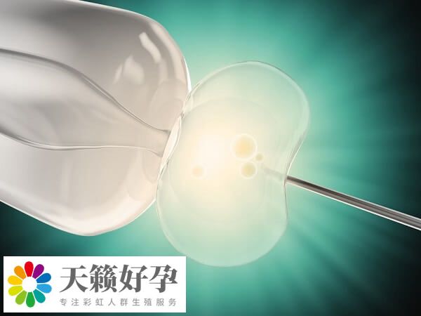 良好生活習慣有利于試管嬰兒成功