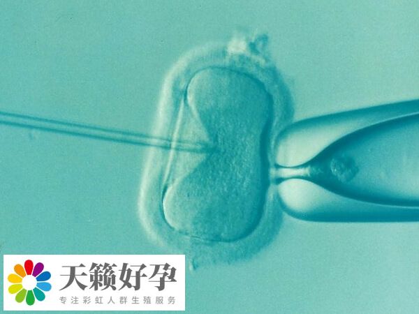 石家莊婦產(chǎn)醫(yī)院試管費(fèi)用