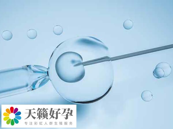 醫(yī)院試管費(fèi)用包括三部分