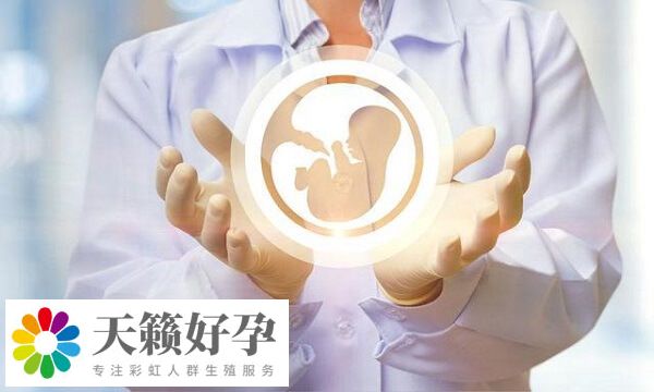 自身身體素質(zhì)是影響試管成功率因素之一