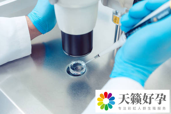 第三代試管嬰兒成功率有46.12%嗎?做三代試管有條件限制嗎