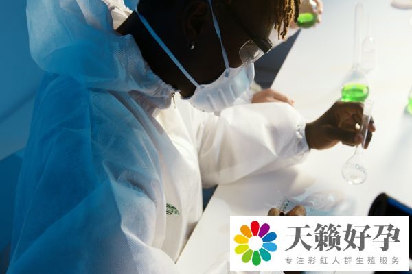 試管嬰兒成功率多高,10個(gè)人做試管幾個(gè)能成功
