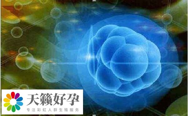 人工周期和自然周期的成功率哪個(gè)高