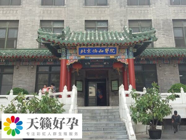 北京協(xié)和試管雙胞胎促排卵費用約4.5-6.5千元