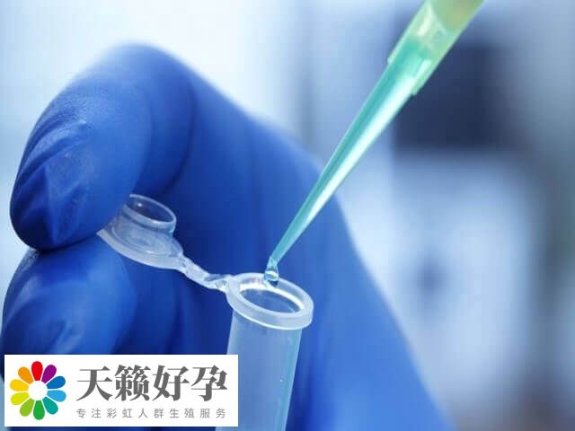 內膜14mm移植能不能成功