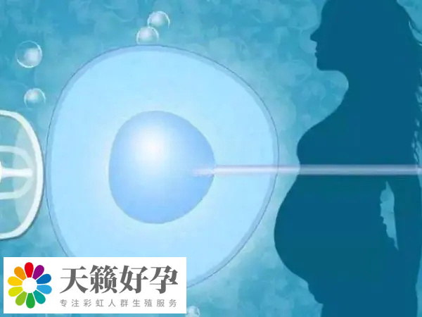 國內(nèi)禁止單身試管嬰兒實施