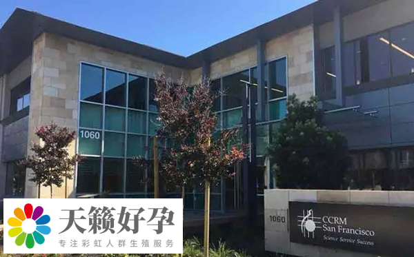 哪些國家做試管嬰兒不要結婚證