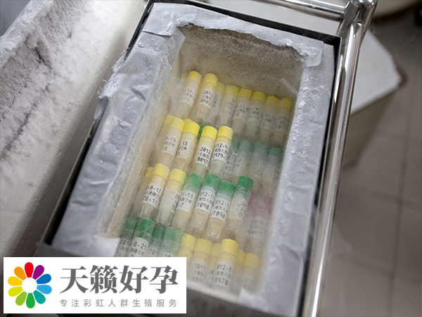 單身在國內(nèi)做試管不合法