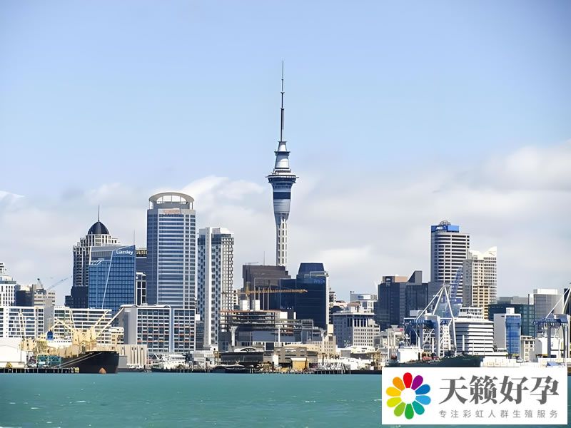 跑馬拉松需“燒腦”供能  兩個月后可完全恢復