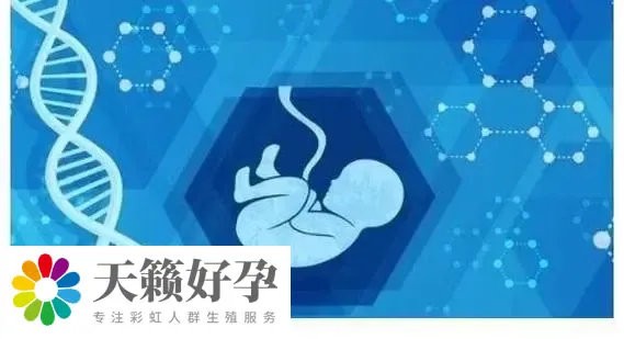 重慶女同可以做試管嬰兒的機構(gòu)有哪些?費用大概需要多少?