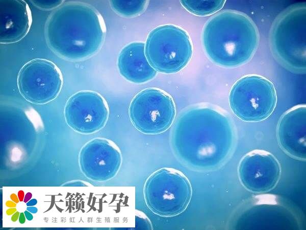 凍卵技術(shù)并非適合所有人群