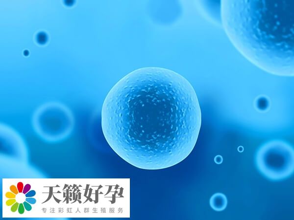 國內助孕機構騙局是什么