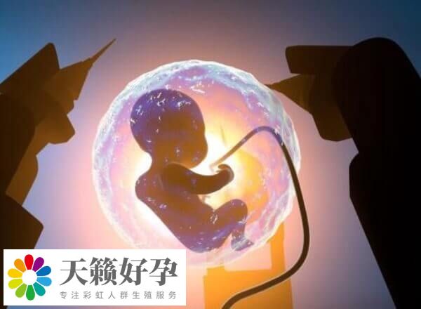 國內和國外的哪些醫院能做t卵p懷生孩子呢？