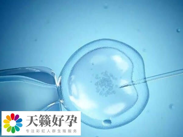 PGT-M主要用于檢測(cè)胚胎是否存在單基因病