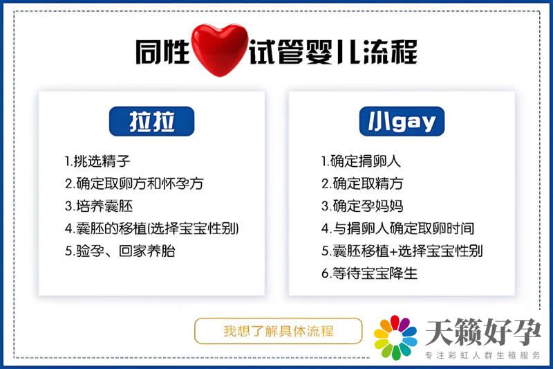 天鋒試管