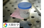 申請供精是否需要血型相同